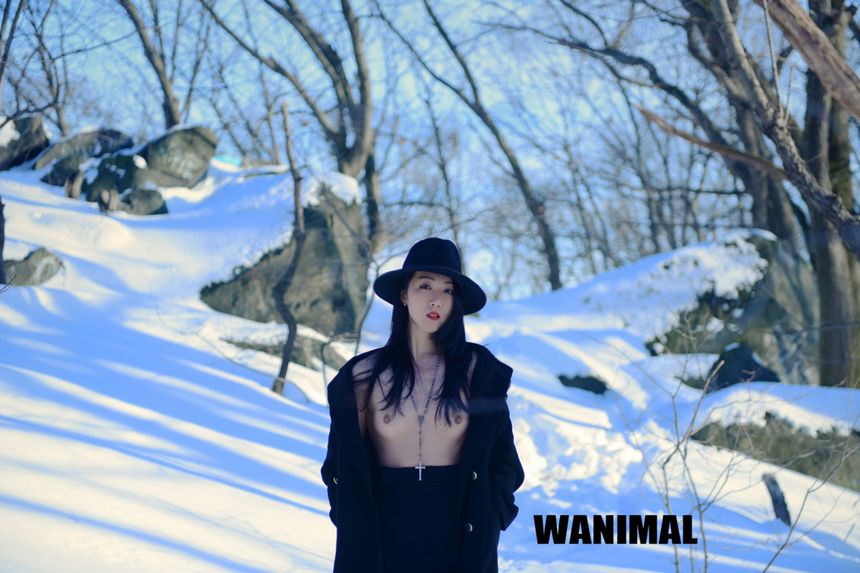 (ʮ) ͼ ʥ [59P] WANIMALƷ 4ҳ