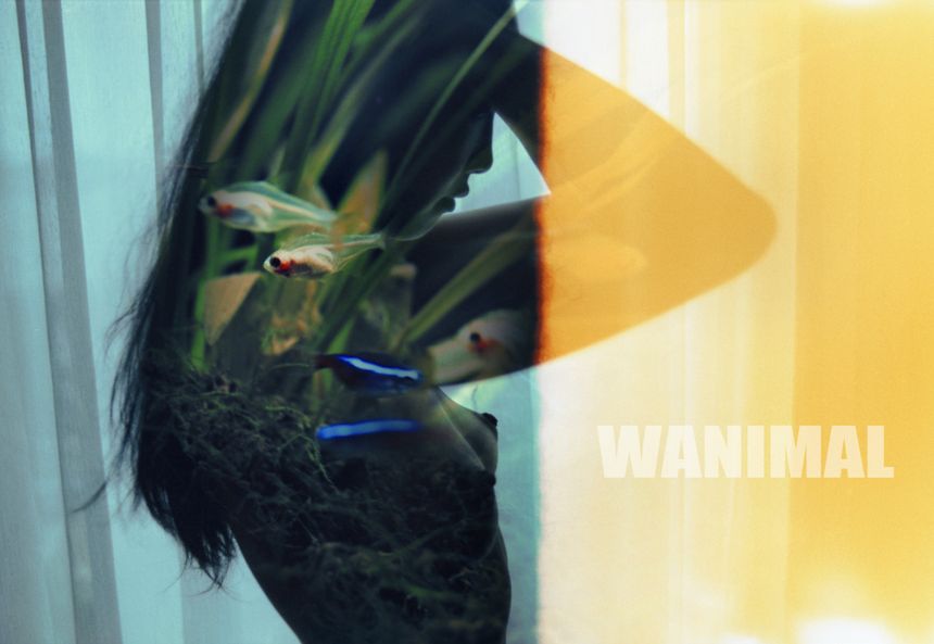 [130P] () WANIMALƷ ʥ ͼ 4ҳ